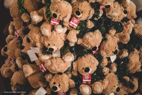 Teddy Bear Tree