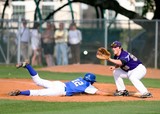 Baseball in Action