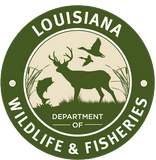 Louisiana Wildlife & Fisheries