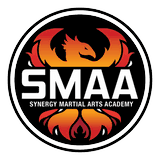 Synergy Martial Arts Academy